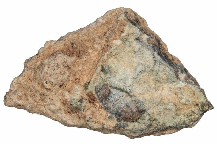 Lunar Meteorite ( g) - Bechar #288490